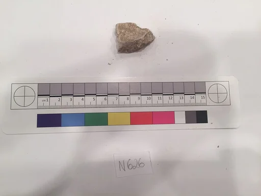 Stucco Fragment
