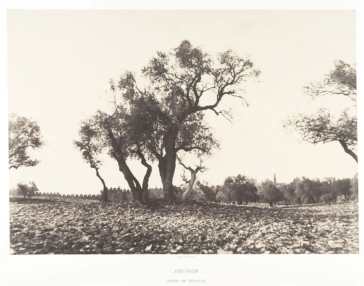 Jérusalem, Chemin de Naplouse — Auguste Salzmann|Imprimerie photographique de Blanquart-Évrard, à Lille