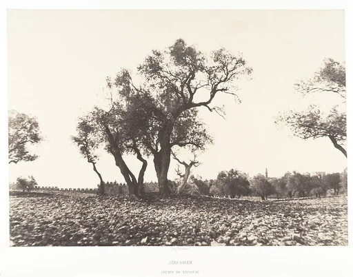 Jérusalem, Chemin de Naplouse