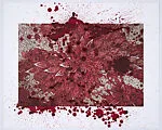 And How Many Rains Must Fall before the Stains are Washed Clean — Hyla Skopitz|Imran Qureshi|Mezzanine Gallery, Metropolitan Museum of Art