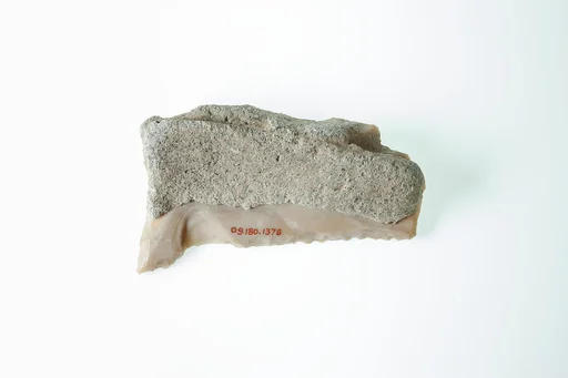 Sickle Insert