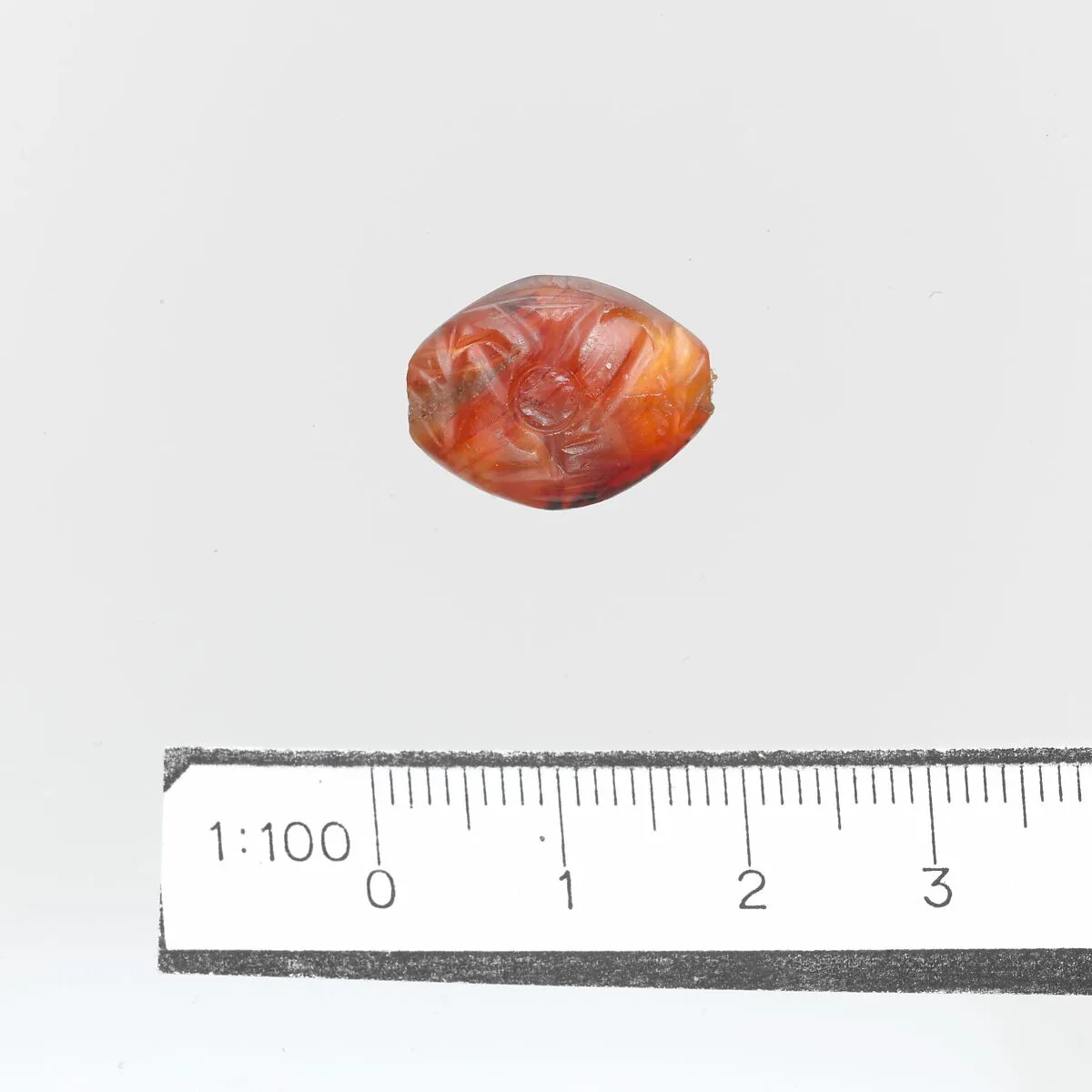Seal — Unknown