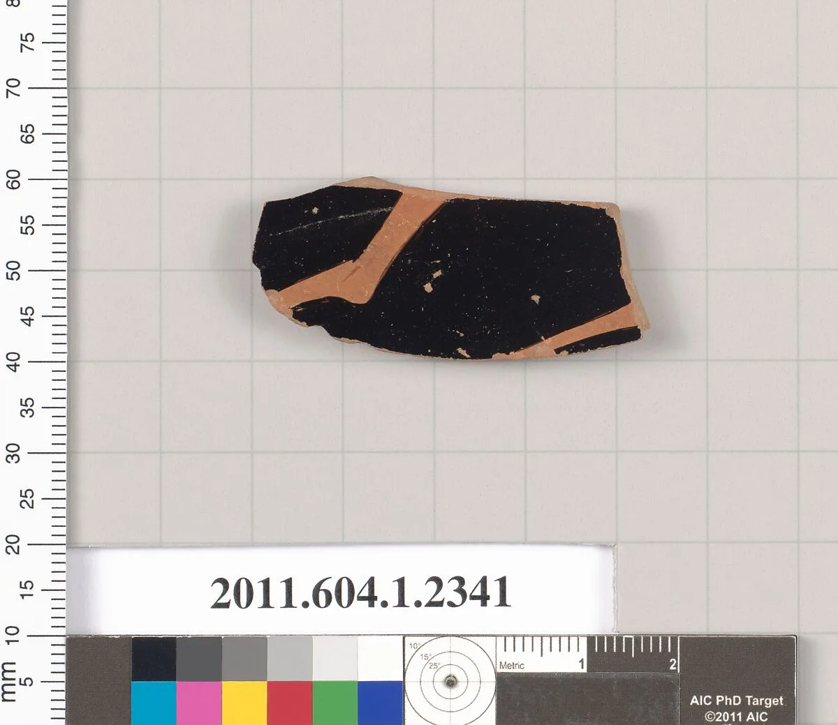 Terracotta fragment of a kylix (drinking cup) — Unknown