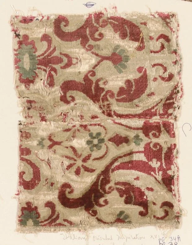 Fragment — Unknown