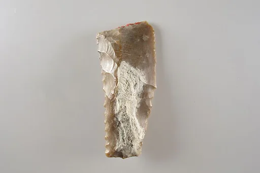 Sickle Insert