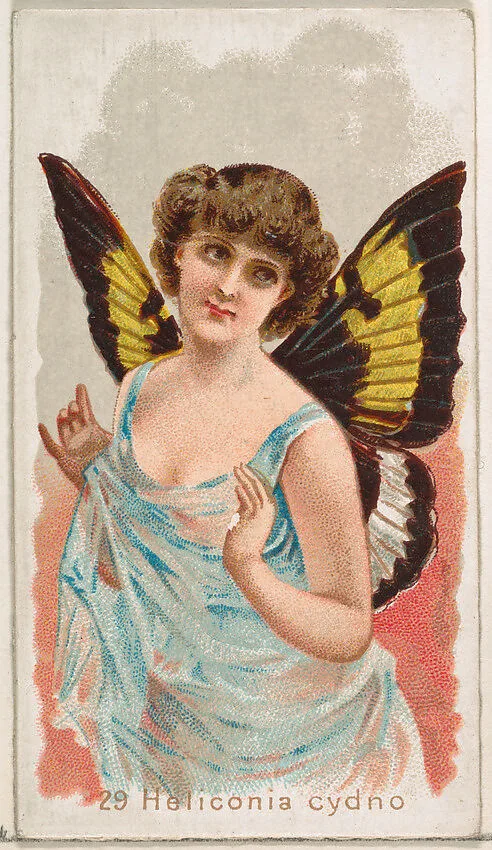 Card 29, Heliconia Cydno, from the Butterflies series (N183) issued by Wm. S. Kimball & Co. — Julius Bien|William S. Kimball & Company