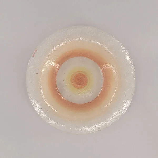 Dish — Maurice Heaton