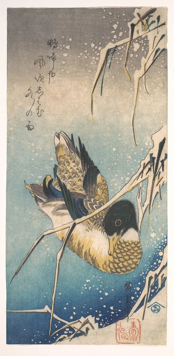 歌川広重画 雪中芦に鴨|Mallard and Snow-covered Reeds — Utagawa Hiroshige