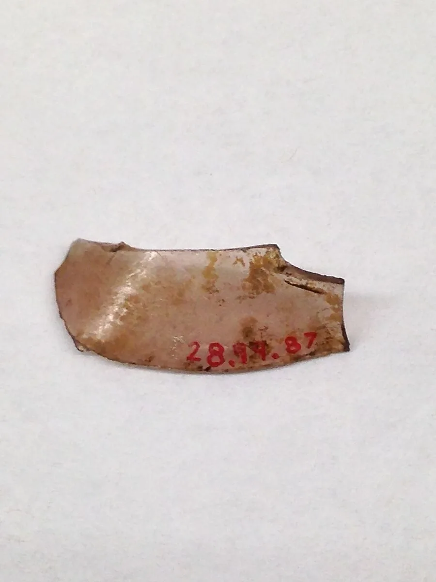 Fragment — Unknown