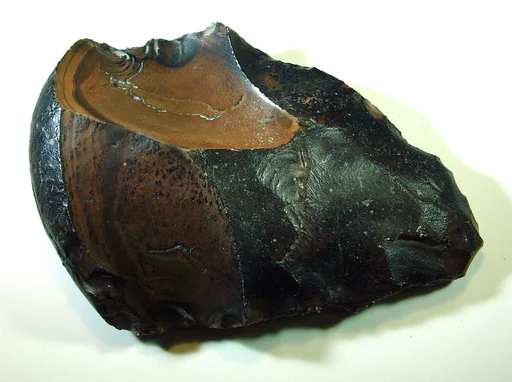 Biface, commonly referred to as a hand ax