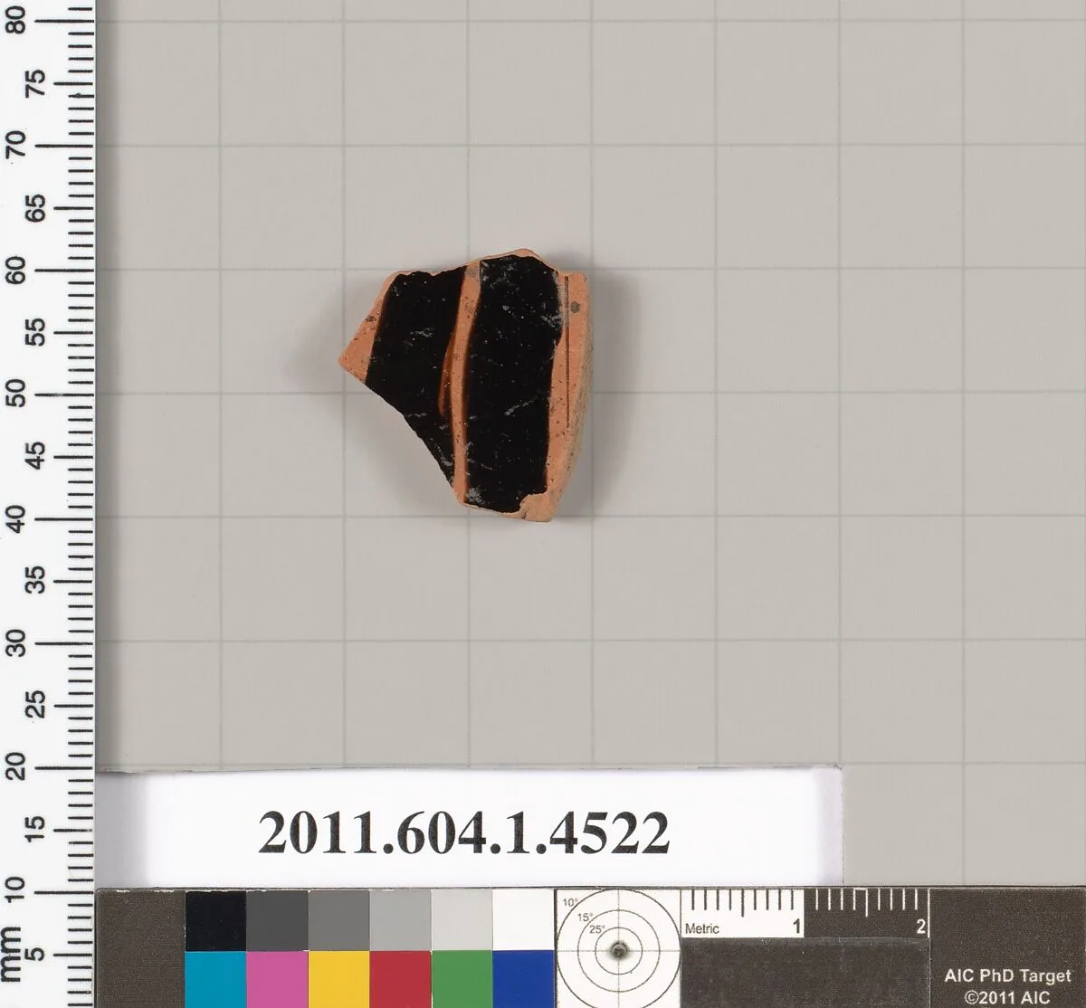Terracotta fragment of a kylix (drinking cup) — Unknown