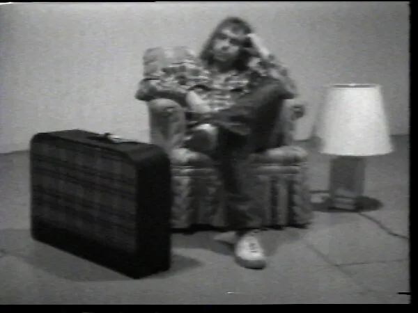 Chair/Lamp/Suitcase — William Wegman