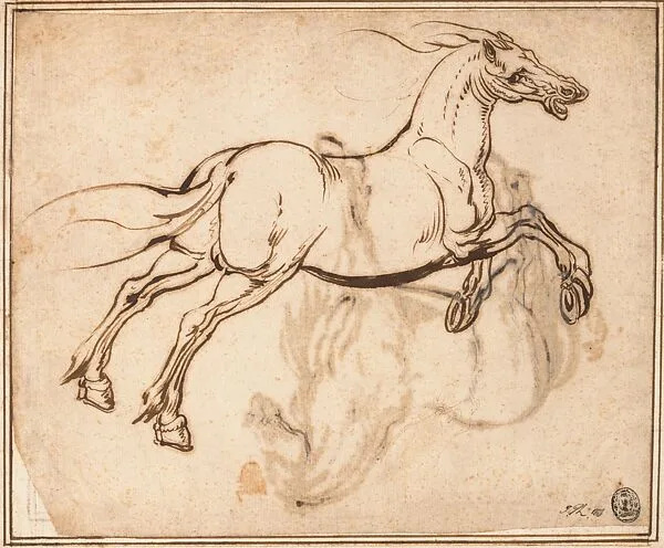 Study of a Horse (recto); Study of a Standing Horse (verso) — Jacques Callot