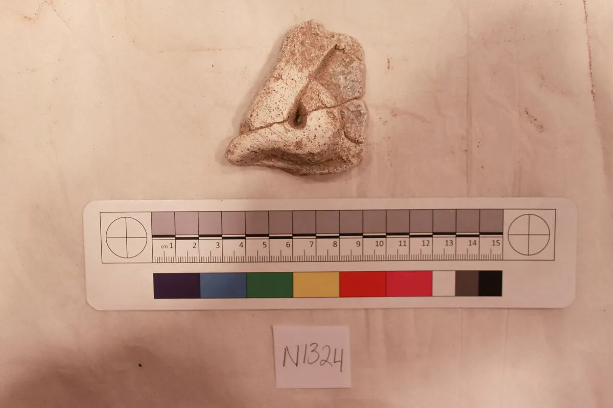 Stucco Fragment — Unknown