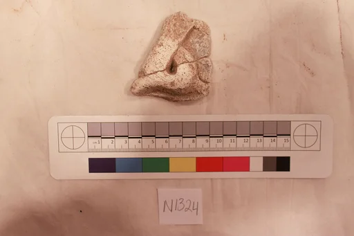 Stucco Fragment