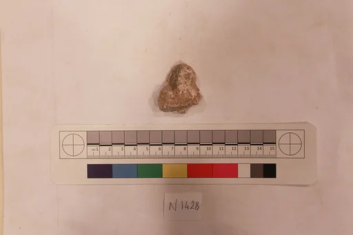 Stucco Fragment