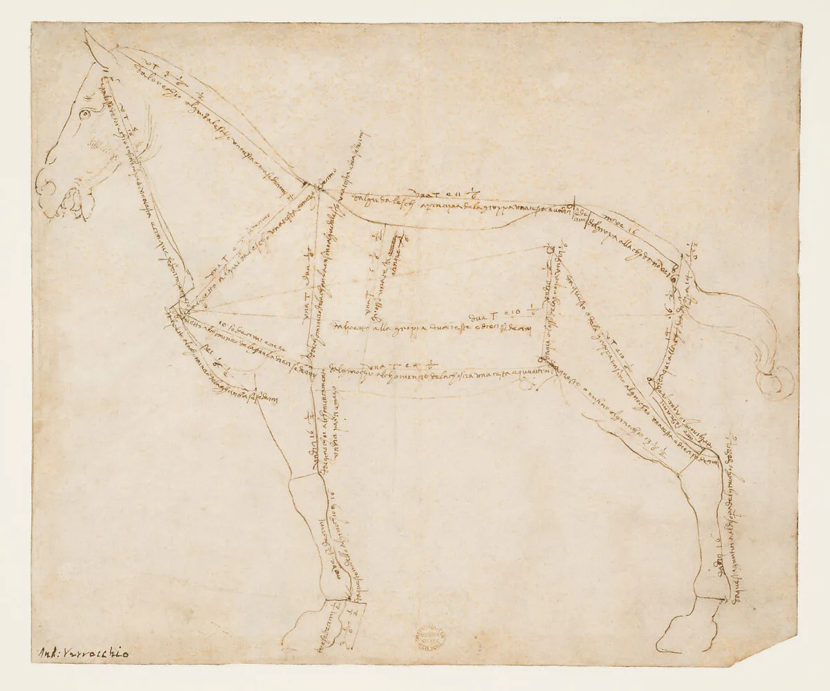 Measured Drawing of a Horse Facing Left (recto) — Andrea del Verrocchio