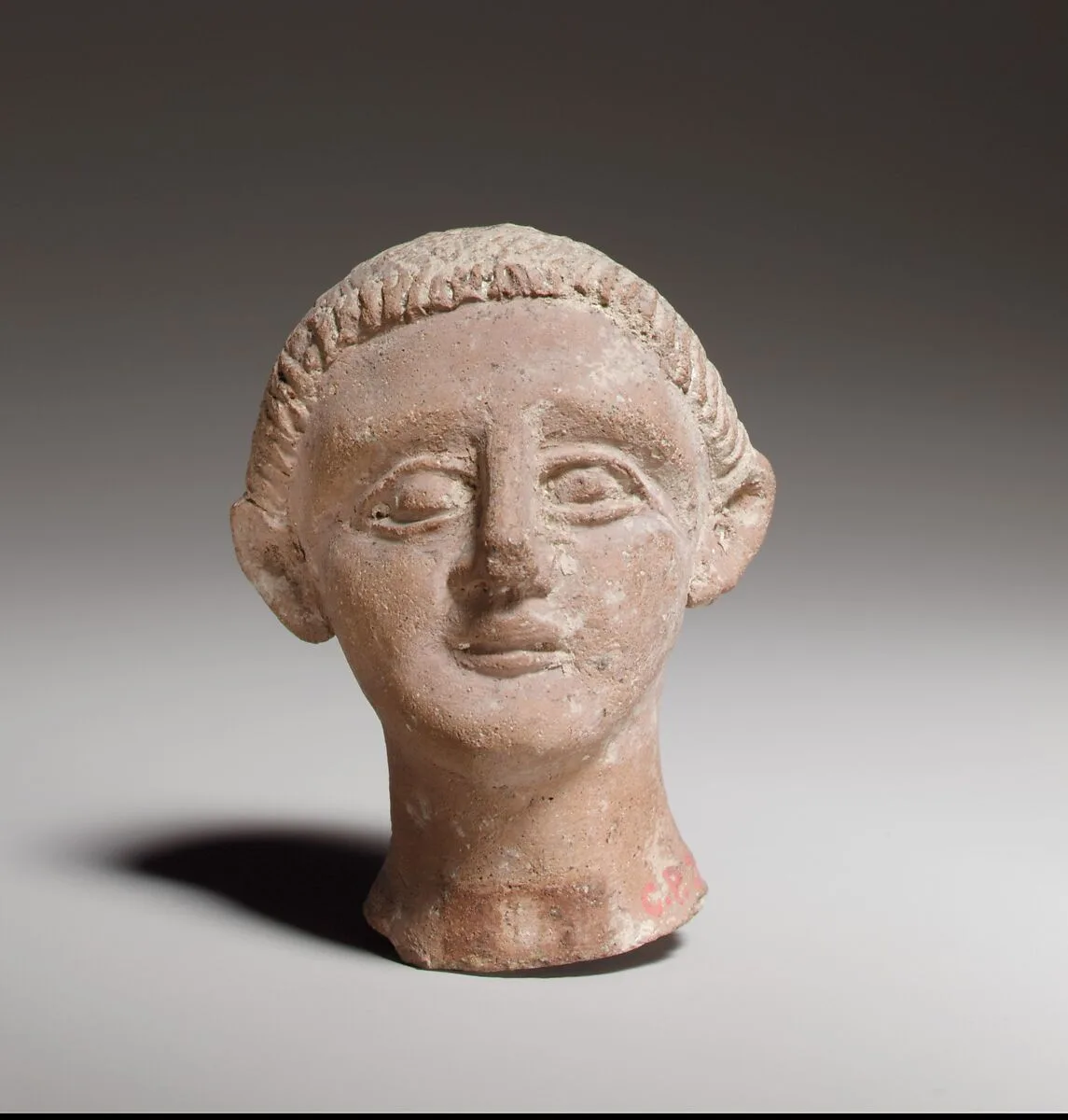 Head of a boy — Unknown