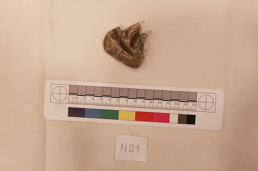 Stucco Fragment