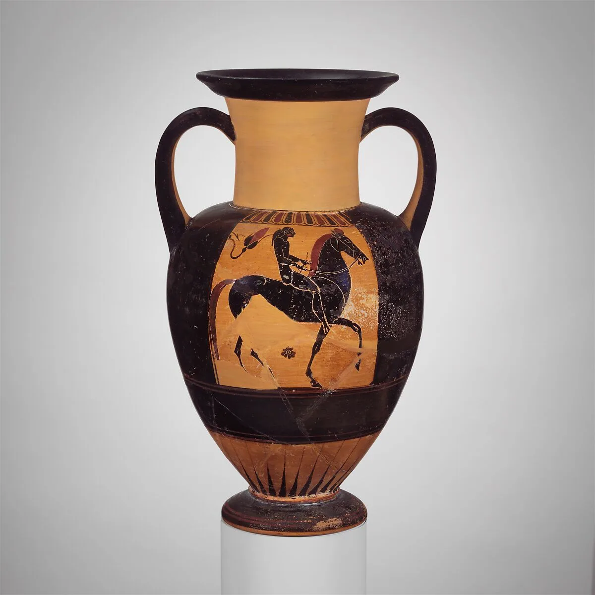 Terracotta neck-amphora (jar) — Phineus Painter