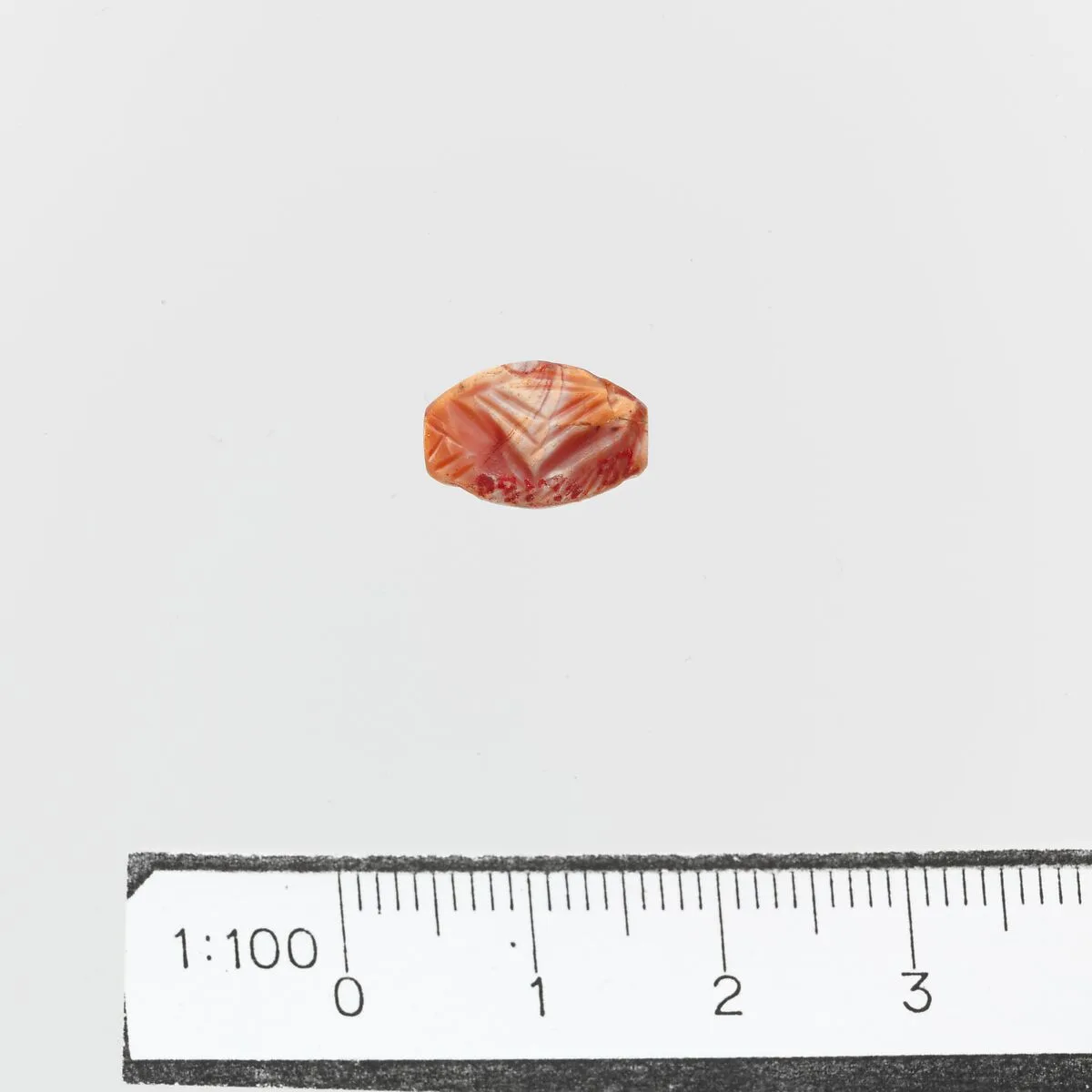 Seal — Unknown