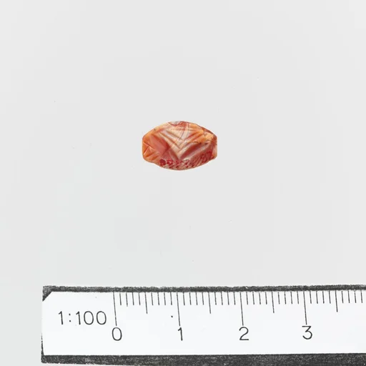 Seal