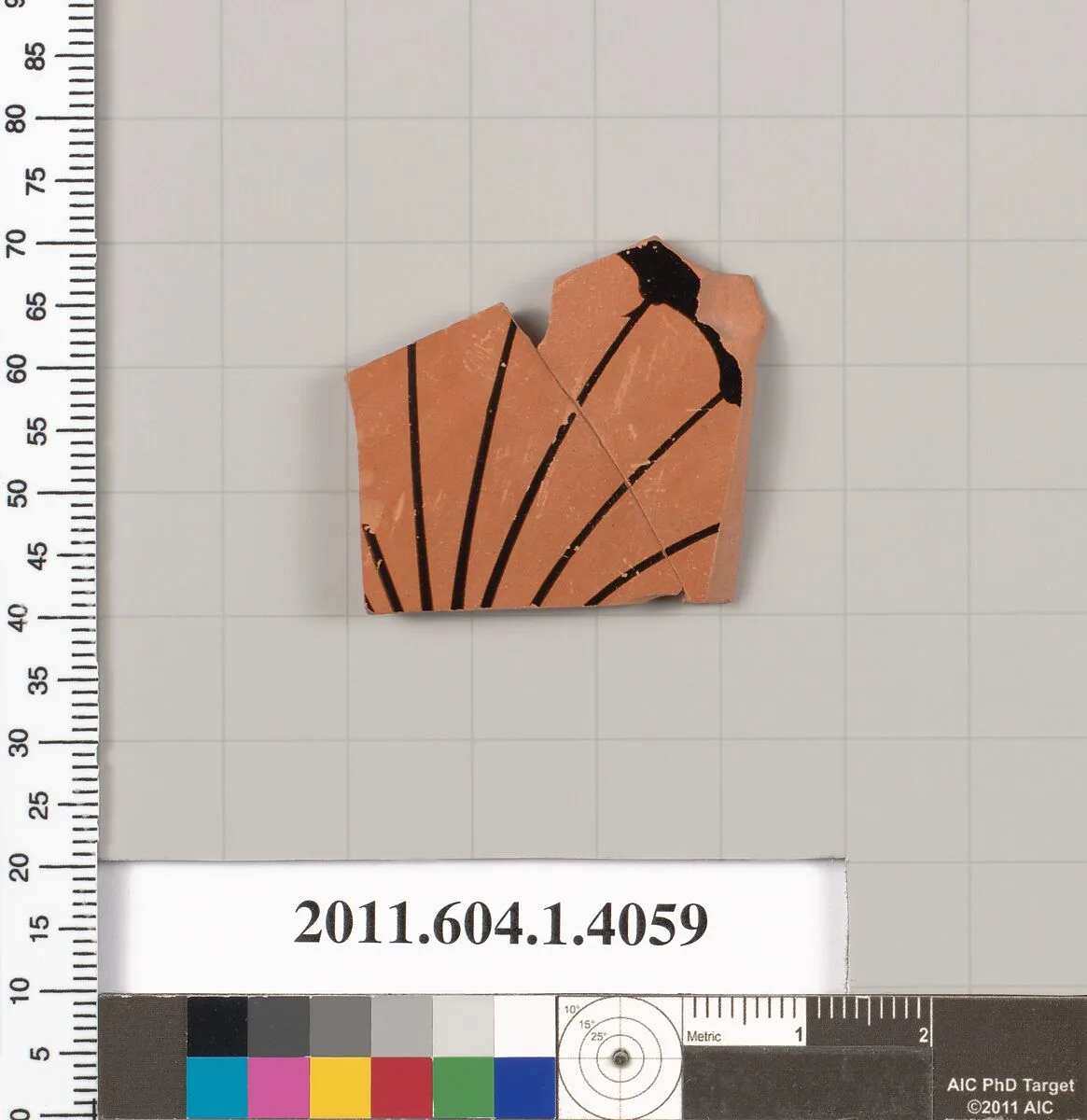 Terracotta fragment of a kylix (drinking cup) — Unknown