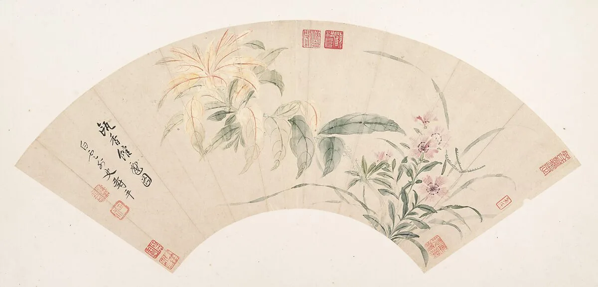 清 惲壽平 花卉圖 摺扇|Carnations and amaranthus — Yun Shouping