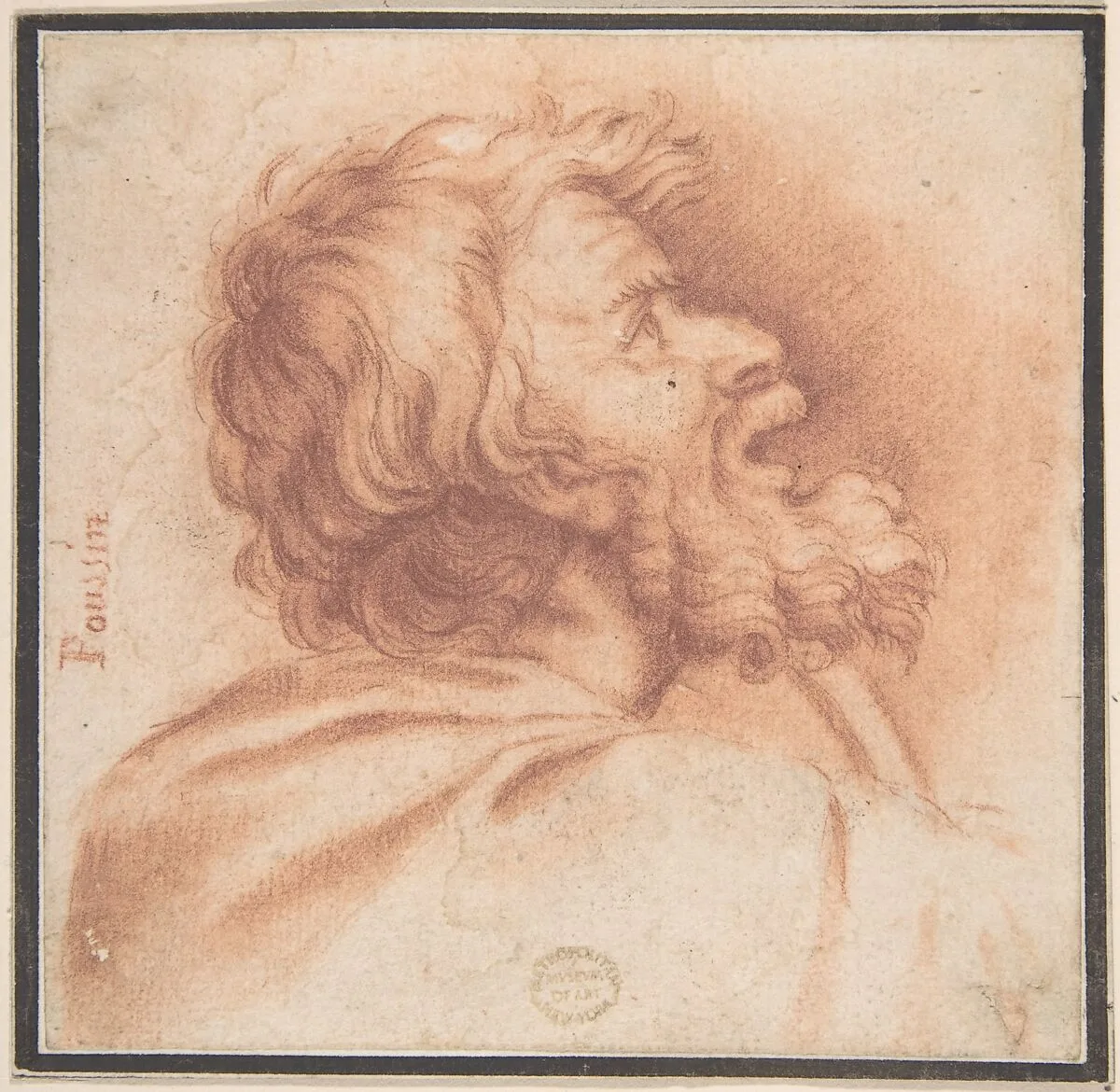 Head of Bearded Old Man Shown in Profile, Looking Up — Anonymous, Italian, Roman-Bolognese, 17th century