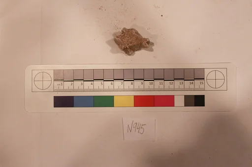 Stucco Fragment