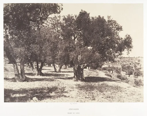 Jérusalem, Champ du sang