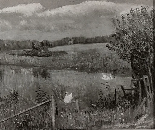 Swan Pond, Bellport, Long Island
