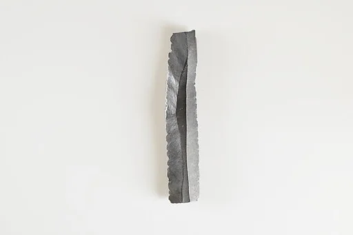 Sickle Insert