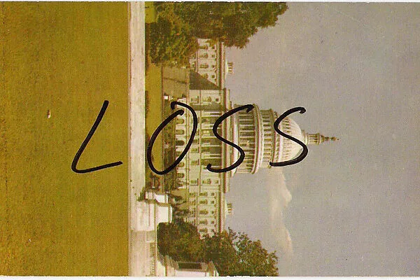 LOSS — Paul McMahon