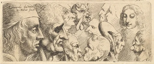 A variety of heads