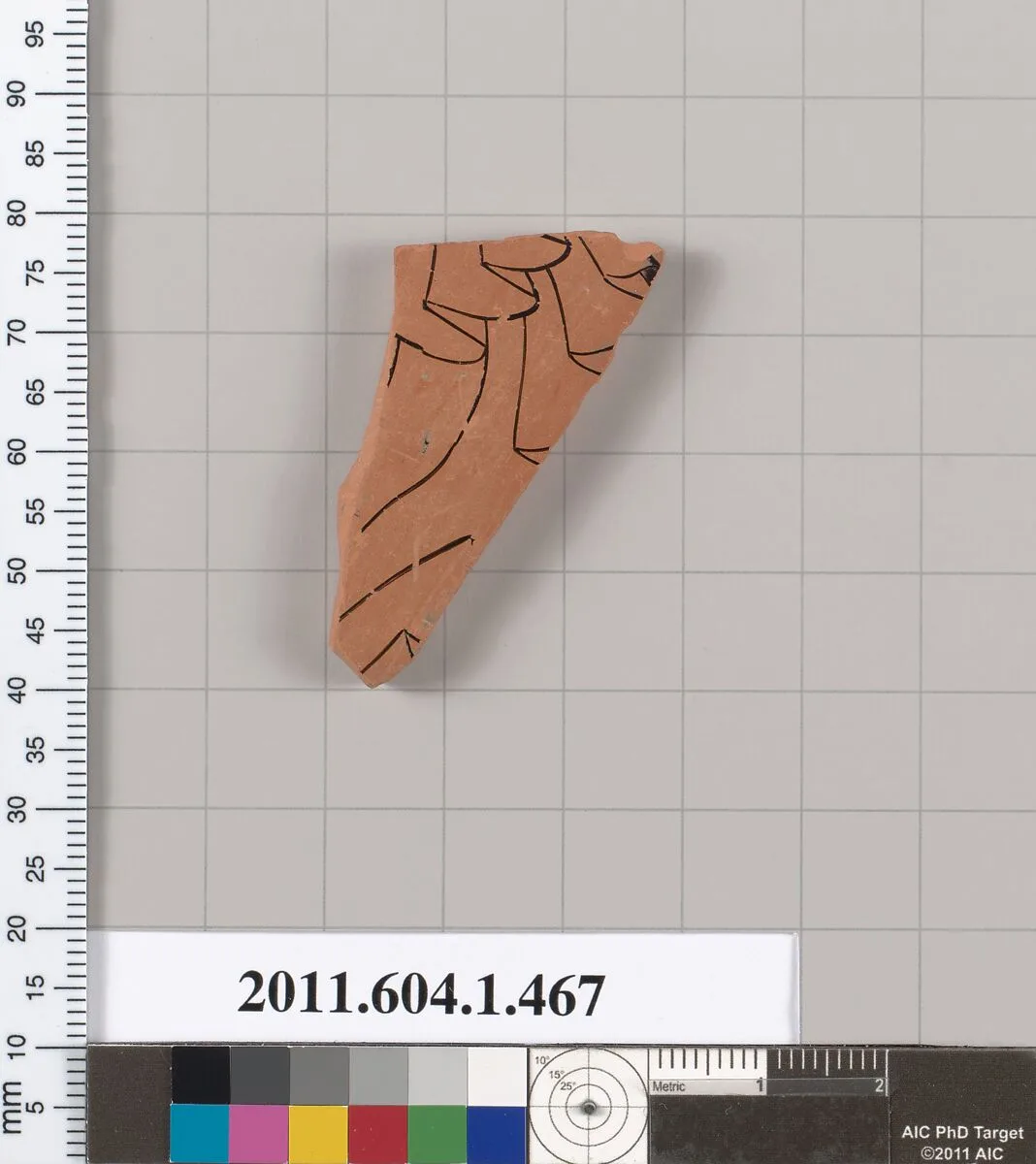 Terracotta fragment of a kylix (drinking cup) — Unknown