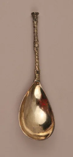 Spoon