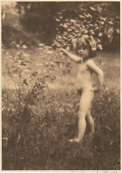 H.R.H. Prince Albrecht Johann. "With Neither Crown Nor Scepter" — Frank Eugene