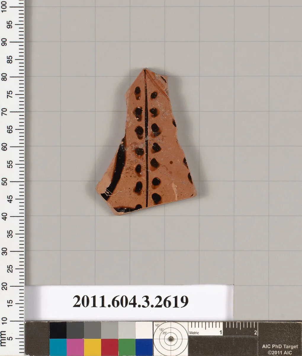 Terracotta fragment of a kylix (drinking cup) — Unknown