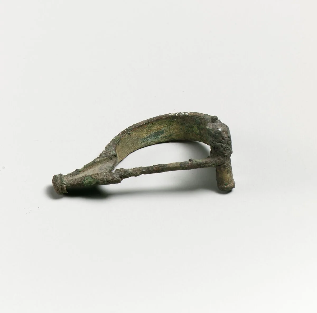 Fibula — Unknown