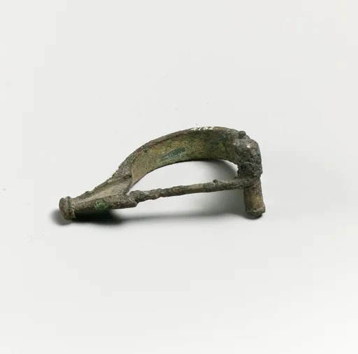 Fibula