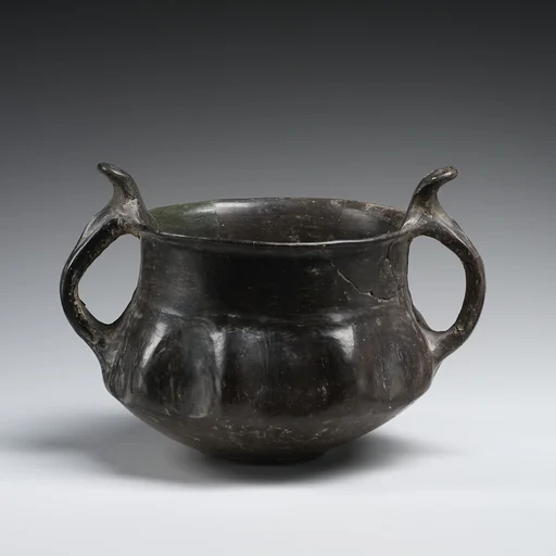 Fluted bowl with two handles