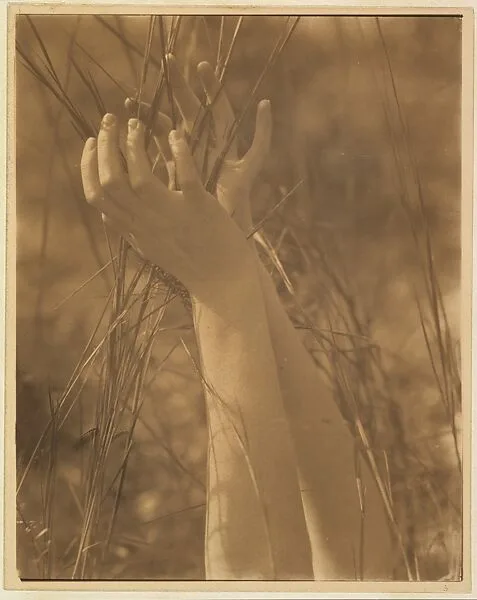 Dana's Hands and Grasses, Long Island, New York — Edward J. Steichen