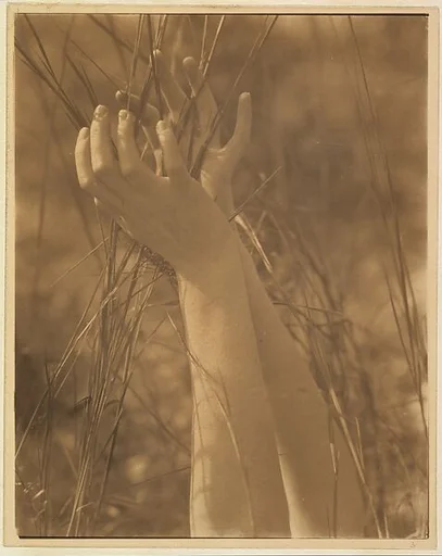Dana's Hands and Grasses, Long Island, New York