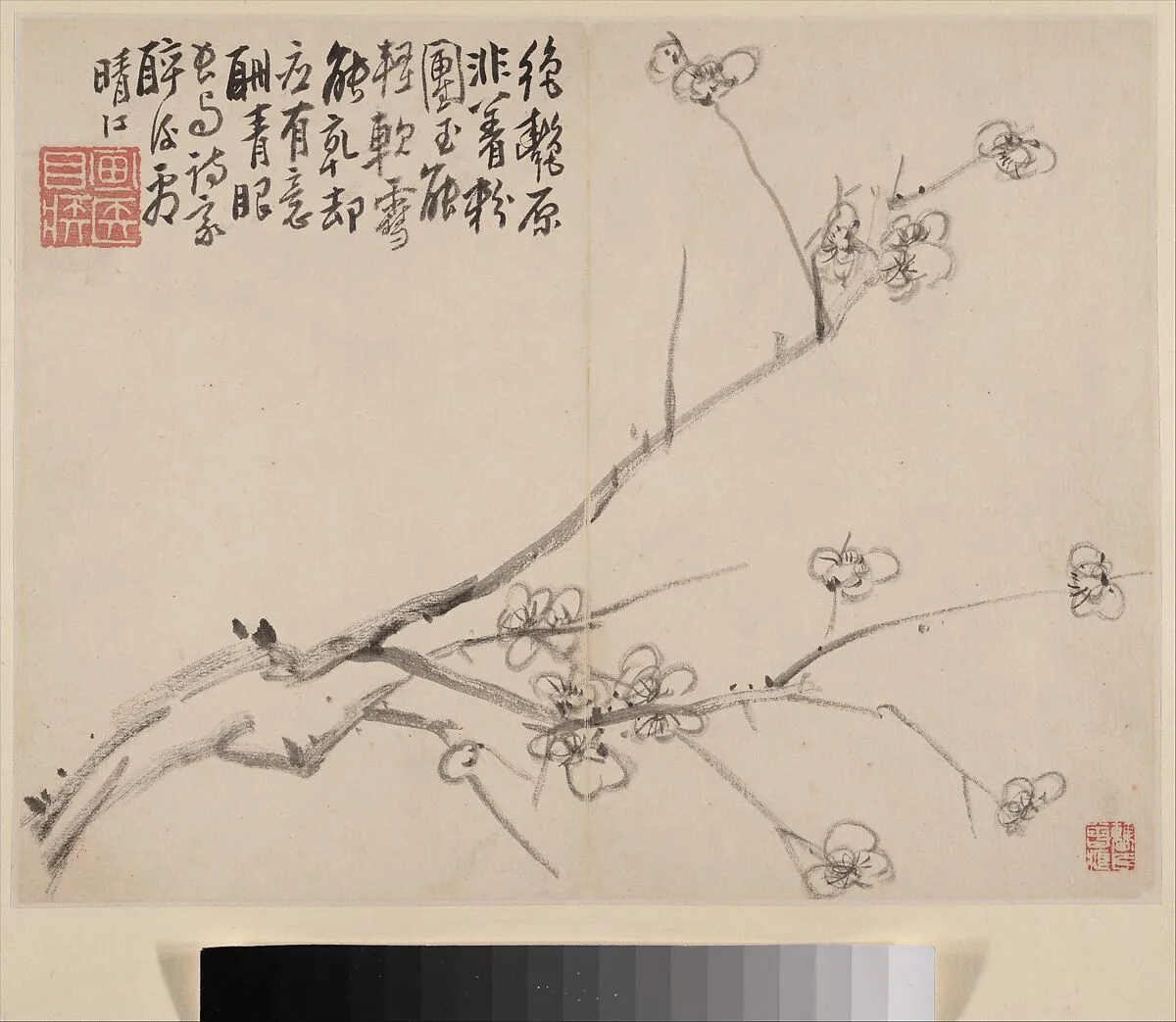 清 李方膺 墨梅圖 冊|Album of Blossoming Plum — Li Fangying