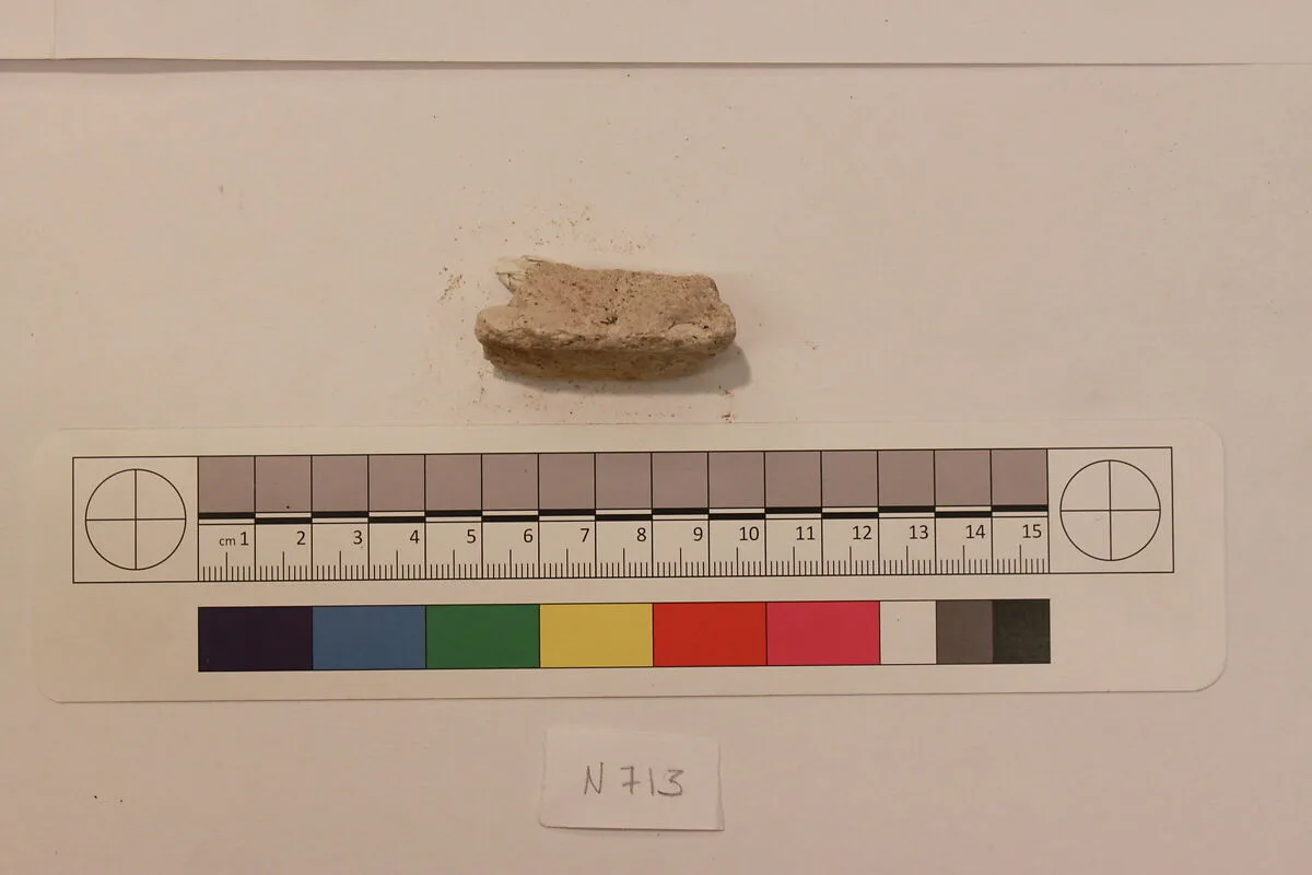 Stucco Fragment — Unknown