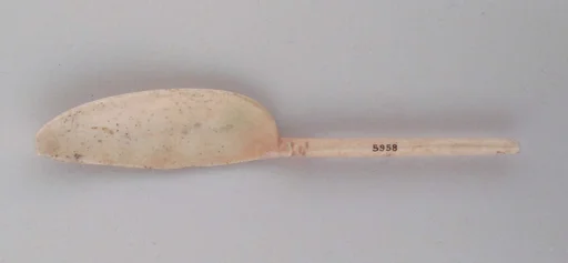 Spoon
