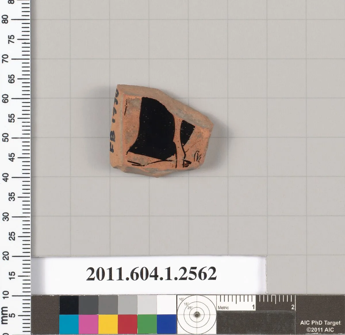 Terracotta fragment of a kylix (drinking cup) — Unknown