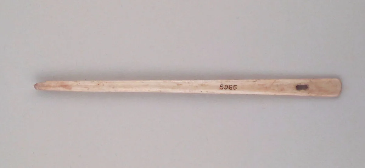 Spatula — Unknown