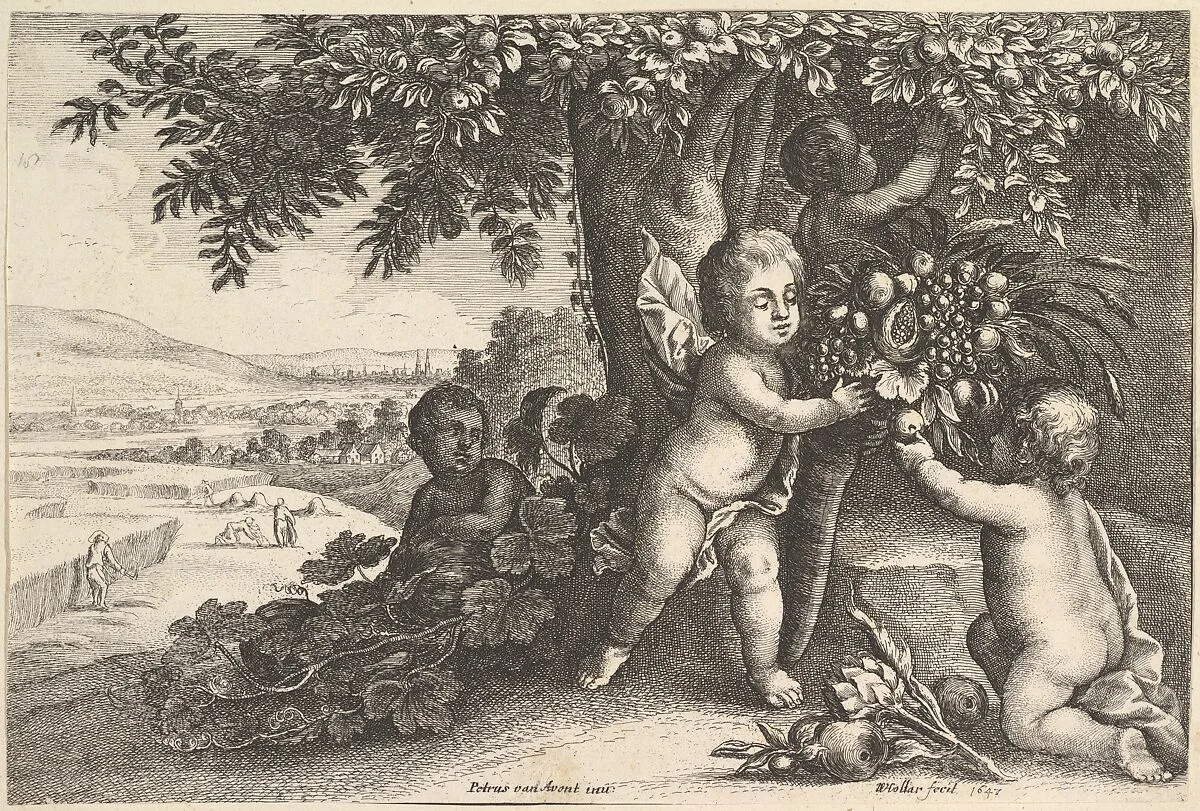 Earth — Wenceslaus Hollar|Pieter van Avont